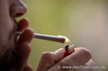 Bielefelder Clubs bauen schon mal Cannabis an