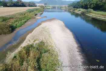 Mehr Natur entlang der Weserauen von Höxter bis Minden