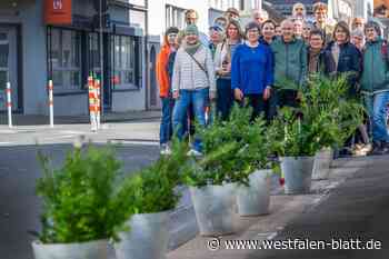 Initiative in Bielefeld startet Aktion an der Rohrteichstraße
