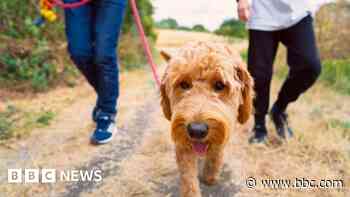 How big a problem is dog fouling in Scotland?