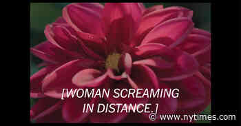 If Morality Has A Sound, Two Top Oscar Contenders Try To Help Us Hear It