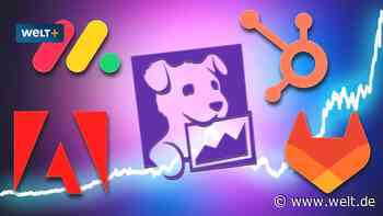 Mehr als 90 Prozent – diese 15 Aktien haben noch höhere Margen als Nvidia