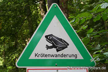 Autofahrer aufgepasst: Kröten wandern wieder