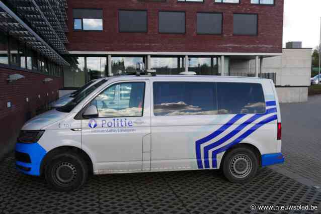 Dieven stelen twee auto’s van hetzelfde merk