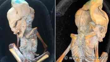 The truth behind the 'alien' in Colombia: As mysterious corpse is discovered, scientist reveals what it could really be - and whether or not it is an extraterrestrial