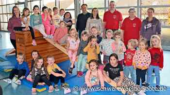 Neue Geräte bei den  SF Emmingen: Für mehr Abwechslung  beim  Bewegungsdrang