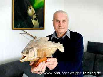 So setzt sich ein Wolfsburger Pastor für indigene Völker ein