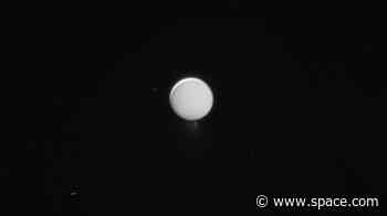 Our solar system's ocean moon may be habitable — and their icy shells could hold proof