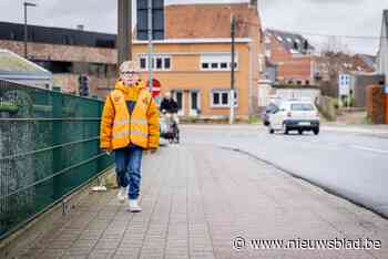 Leerlingen Sint-Lambertusschool leggen voetgangersexamen af: “Belangrijk dat ze zich veilig in het verkeer kunnen begeven”