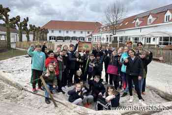 Basisschool Het Trapleerke onthardt 380 vierkante meter speelplaats: “Kinderen spelen in natuurlijkere omgeving”