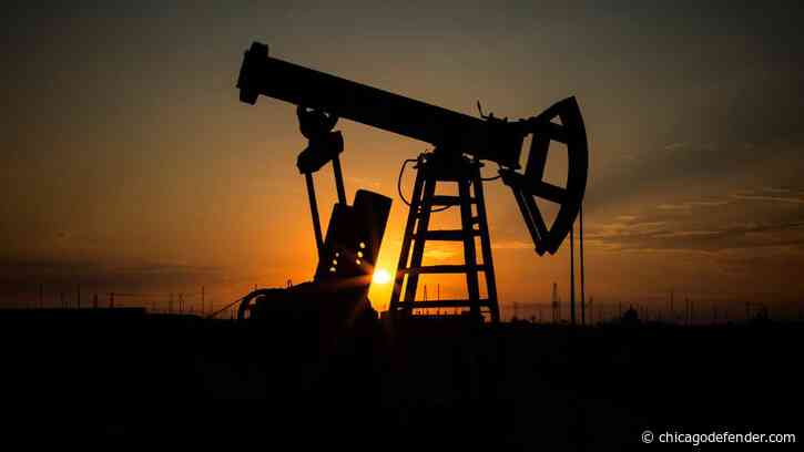 Whales Are Dying and the Fossil Fuel Industry is Lying