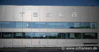 «Dümmste Öko-Terroristen»: Musk äußert sich zu Tesla-Vorfall