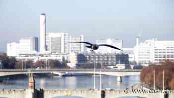 Novartis-Aktionäre genehmigen alle Anträge an GV