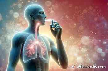 Unlocking Early Detection of Lung Cancer With MIT’s Inhalable Nanosensors