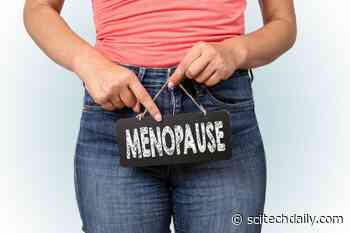 Yale Scientists Unveil Innovative Method To Prevent Menopause, Possibly Forever