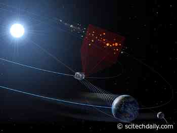 The Asteroid Hunters: 10 Years Preparing for “Armageddon”