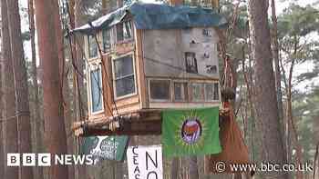 Tesla factory expansion plan sparks treetop protest