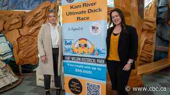 Thousands of rubber duckies will be floating down the Kaministiquia River this spring. Here's why