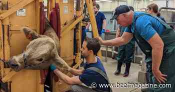 Nebraska, UNL announce Food Animal Veterinary Scholarship Program