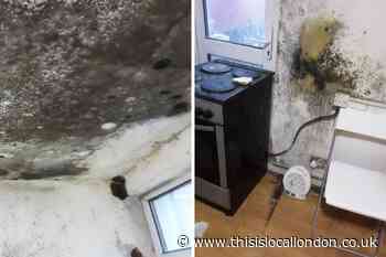 Cricklewood man left struggling to breathe in mouldy home