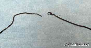 Man ‘intentionally dismembered,’ Toronto police say after body parts found in lake