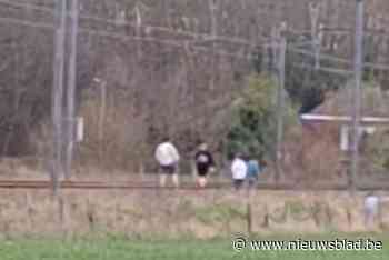 Onderzoek gestart naar spoorlopers in Begijnendijk: “Dit is levensgevaarlijk”
