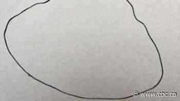 Toronto police seek public assistance identifying human remains found at Cherry Beach