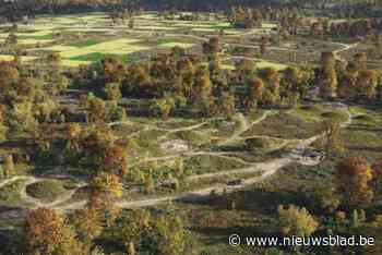 Vlaanderen beschermt drie prehistorische landbouwsites in Limburg, maar wat zijn Celtic fields precies?