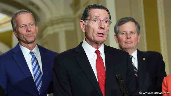 Barrasso announces bid for GOP Senate whip amid leader speculation