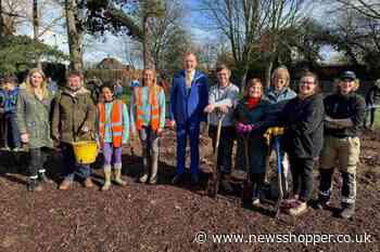600 trees planted in Cator Park in Beckenham