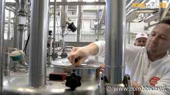 VIDEO | Dentro lo stabilimento di Fattoria Latte Sano