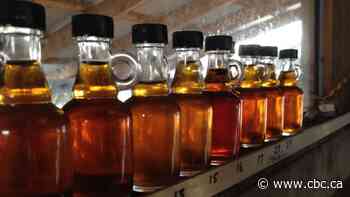 Sweet! Warm days, cool nights mean Ontario maple syrup season off to early start