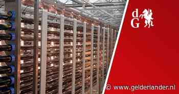 Auto rijdt vol door garagemuur • Universiteit opent een park met algen