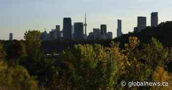Half a million people in Toronto don’t have a family doctor, college says