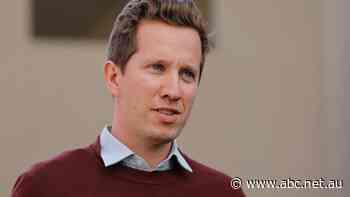 The Greens want the government to compete with private property developers