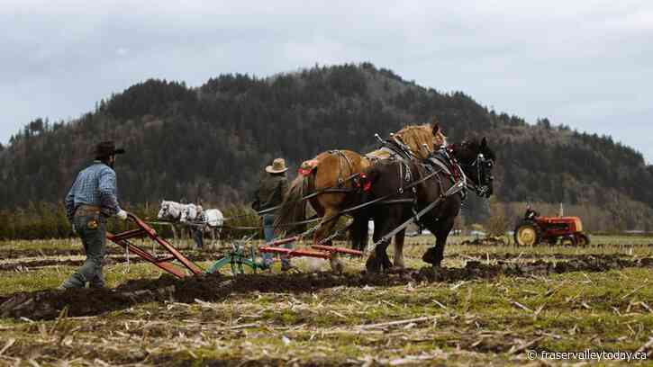 Greendale Acres in Chilliwack to host multiple events as 2024 season kicks off