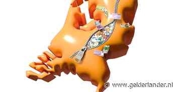 Nederland is met afstand het kleinste land dat mijlpaal van 1 biljoen euro bereikt