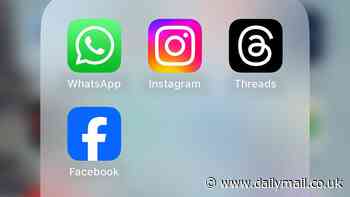 Was Taylor Swift to blame? Conspiracy theories about Facebook, Instagram and Messenger flood Elon Musk's X - with some pointing fingers at the popstar, the New World Order and data cables cut in the Red Sea