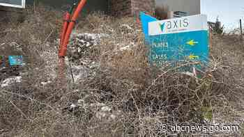 Iconic Old West tumbleweeds roll in and blanket parts of suburban Salt Lake City