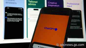 AI pervades everyday life with almost no oversight. States scramble to catch up