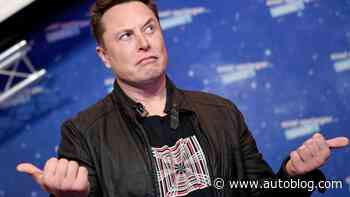 Tesla stock is plunging because Musk has too many projects, investor Ross Gerber says