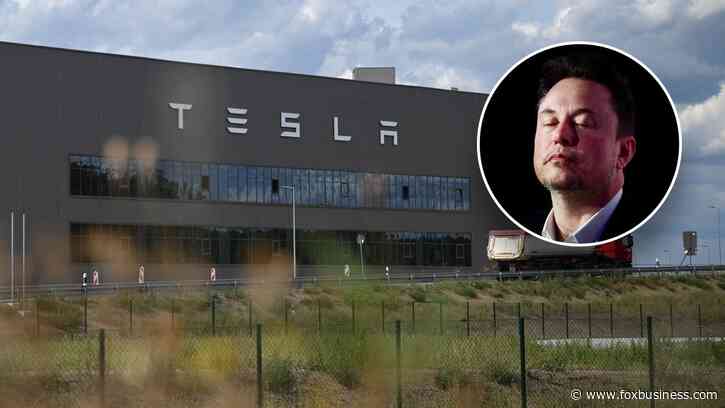 Musk rips purported eco-terrorists for suspected arson at Tesla Gigafactory: 'Extremely dumb'