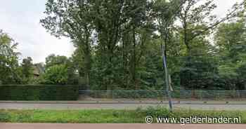 Villabewoner bijt in het stof: kap van 21 bomen om rieten dak te sparen mag niet