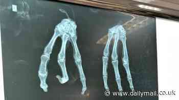 Aliens or hoax? Filmmakers say three-fingered 'mummified humanoids' found in Peruvian cave 'are real' - and believe 30% 'unknown' DNA might be proof of 'new species'
