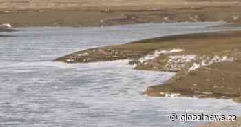 M.D. of Pincher Creek deals with water shortfalls in Oldman River Reservoir