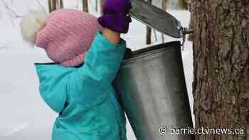 Maple syrup producers tap into government funding to boost business