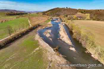 So steht es um die Diemel-Renaturierung in Warburg