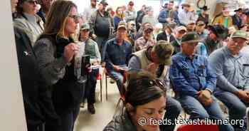 Facing staggering losses from wildfires, Panhandle ranchers and farmers seek aid to rebuild
