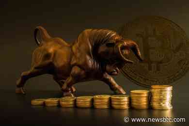 Deribit Exchange Expects Bitcoin To Rise 20% In The Next 30 Days, Targeting $80,000