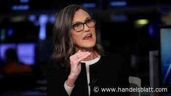 Ark Invest: Biotech statt Nvidia – Wieso Cathie Wood die KI-Rally verpasst